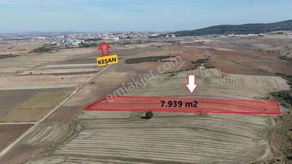 Ege Emlaktan Siğilli Köyünde Yatırımlık Tarla