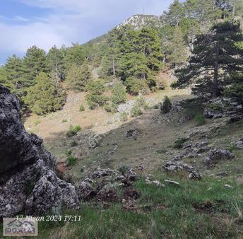 Köy Ve Doğa Manzaralı