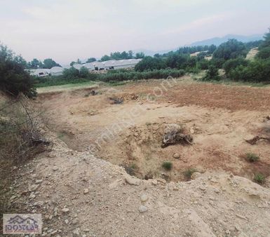 Alaylıda Fırsat Arsa