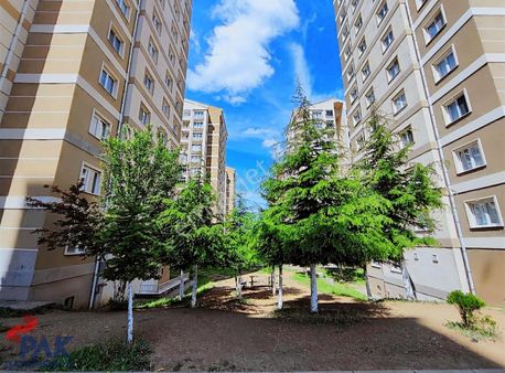 Gürsu Toki De 2+1 Tertemiz Kullanışlı Daire