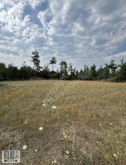 Akyaka Ve Köyceğiz'e 10 Dakika Mesafede Satılık Tarla