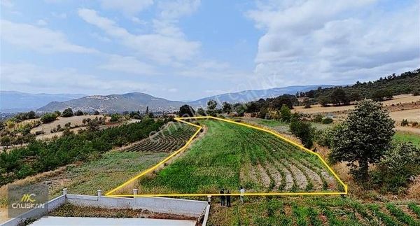 Yazıbaşı Köyü Satılık 5200 M2 Bağ