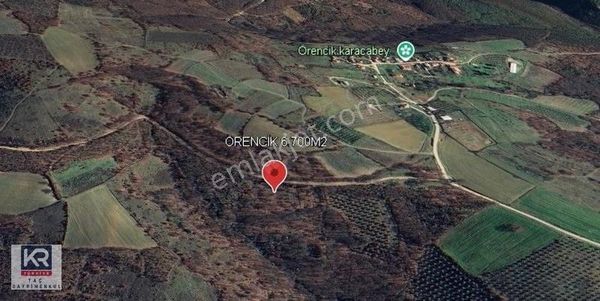 Kr Taç Bursa Karacabey Örencik Satılık Fırsat 6699m2 Tarla