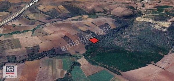 Kr Taç Karacabey Canbaz 5000 M2 Fırsat Fiyatına Satılık Tarla