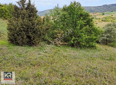 Kr Taç Yenişehir Süleymaniye De Yatırımlık 5000 M2 Tarla