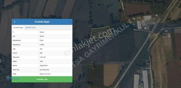 Metsa'dan Çilimli Pırpır'da 2541 M² Satılık Tarla