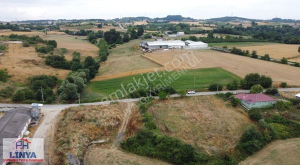 Sakarya Kaynarca Osmanlı Köyün'de Satılık Tarla