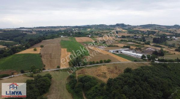 Sakarya Kaynarca Osmanlı Köyün'de Satlık Tarla