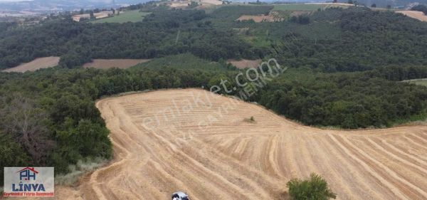 Sakarya Kaynarca Eğrioğlu Köyün'de Satılık Tarla