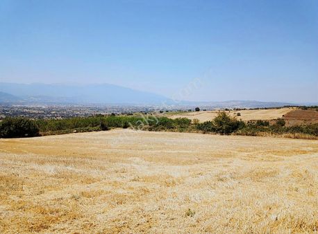 İnegöl Yiğit Mahallesi'nde Satılık Tarla