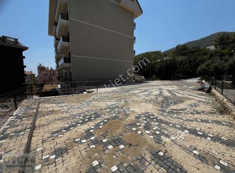 Benim De 1+1 Güzel Bir Evim Olsun Diyene!