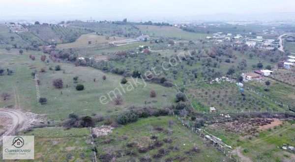 Cumaovası Emlak'tan Satılık Dereköy'de 3372 M2 Tek Tapu Tarla