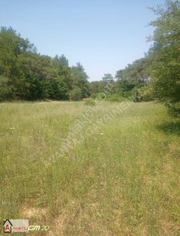 Edirne, Keşan, Çamlıca Köyünde 8,9 Dekar Yatırımlık Tarla