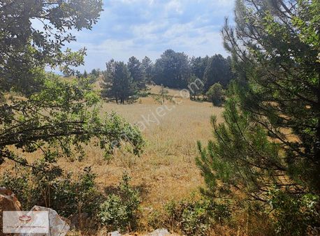 Satılık Tarla Merkez Üyücek