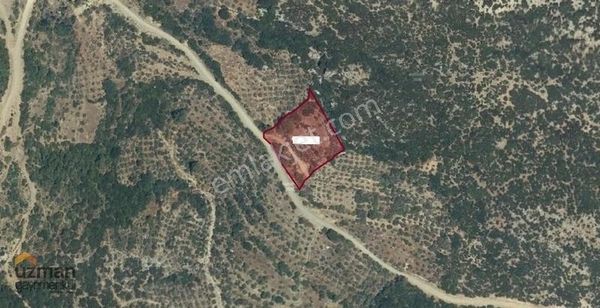 Muğla Menteşe Akkaya'da Satılık 3.181 M2 Tarla