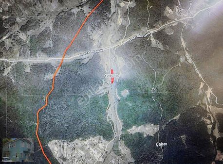 İstanbul Şile De Satılık Fırsat Tek Tapu 2.618.74m² M² Tarla