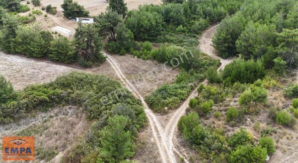 Empa Gayrimenkul'den Bereketli'de Yatırımlık Tarla!!!