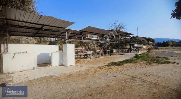 Egeden Emlak Satılık Yola Yakın Çiftlik