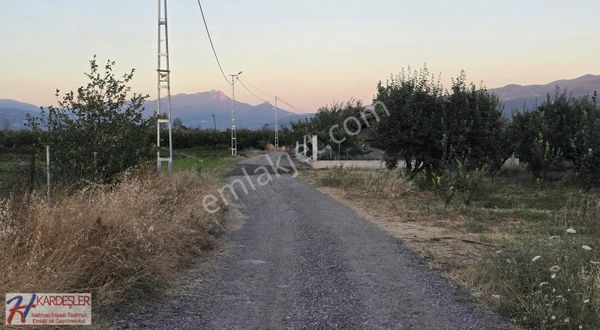Pamukova Merkezde Yht İstasyonuna Yakın Yola Cephe Ayva Bahçesi