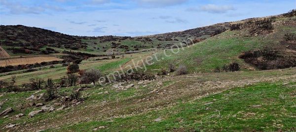 Uşak Eşme De Beşyol Emlaktan Satılık 21 Dönüm Ges &tarım Arazisi