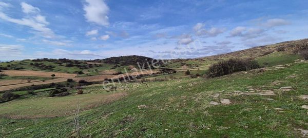 Salihli Beşyol Emlaktan Satılık Ges İçin Uyumlu Bin Dönüm Arazi