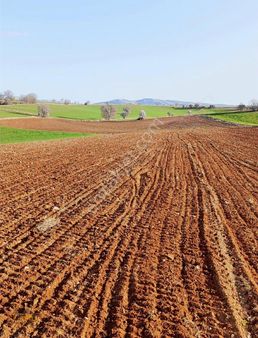 Köprü Gayrimenkul' Den Pınarbaşı Köyünde Satılık 18.870m2 Tarla