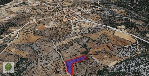 Muğla Menteşe Denizova'da Satılık 2657 M² Tarla...