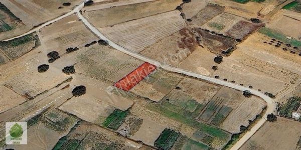 Muğla Menteşe Denizova'da Satılık 524 M² Kadastral Yollu Tarla..