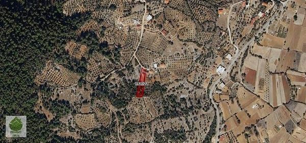 Muğla Menteşe Denizova'da 1198 M² Ve 802 M² Satılık 2 Tarla...