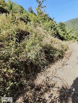 Teşvikiye'de Satılık Tarla