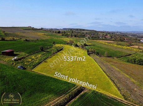 Kandıra Topluca Köyünde Yollu İmarlı