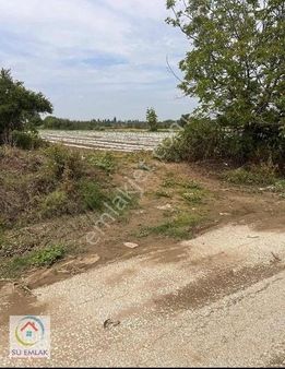 Kireli Köyünde Satılık Tarla