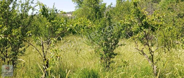 Isparta Keçiborlu Satılık 2281 M2 Satılık Tarla