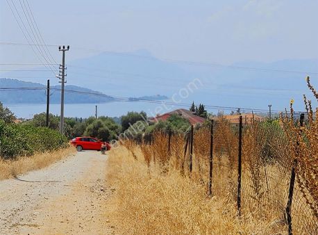 Zeytinalanında 1000 M2 Satılık Arazi.