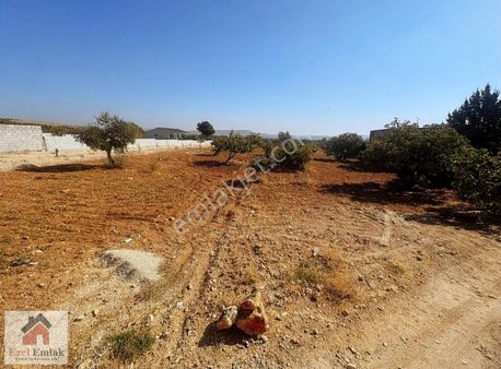 Ezel Emlak Tan Oğuzelli Gursu Da Resmi Yol Üstü Satılık Arazi