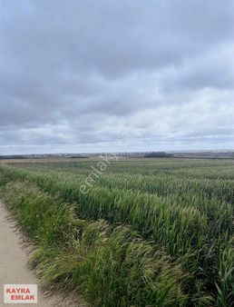 Kapaklı İkitelli Bölgesine Yakın Uygun Tarla