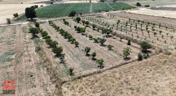 Acc Homes'tan Korkuteli Yeşilyayla'da Ceviz Olan 3239 M2 Tarla