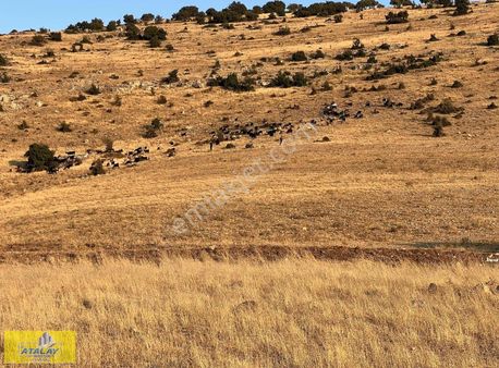 Kilis Merkez Çakallıpınar Mahellesinde Kupon Bag Evi Konumunda
