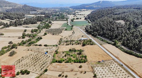 Doğa Aşığına Özel Gelibolu Ilgarderede 4354 M² Tarla Fırsatı