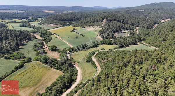 Doğanın Kalbinde Bir Hayat 1844 M² Tarla Sizi Bekliyor