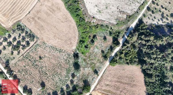 Deniz Manzaralı Yol Cepheli 3280 M² Ilgarderede Tarla