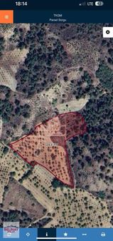 Satılık Verimli Bahçe Küre Köyü / Bilecik Merkez