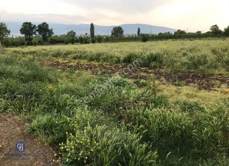 Müstakil Tapulu! İmara Sınır! Çok Amaçlı Kiralık Arsa!