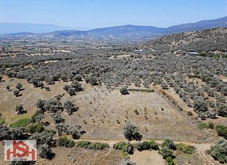 Merkeze 11 Km Mesafede Seki Köyde 6594 M2 Satılık Köy İmarlı Yer