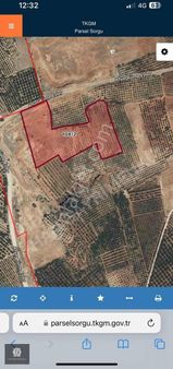 Han"dan Aciil Elmalı"da Yatırımlık Fırsat Bahçe