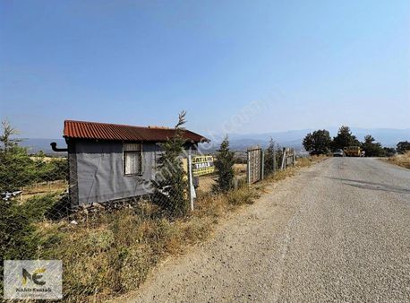 Asfalt'a 22m Cepheli Tel Örgülü 2333m2 Ceviz Bahçesi İnegöl 15dk