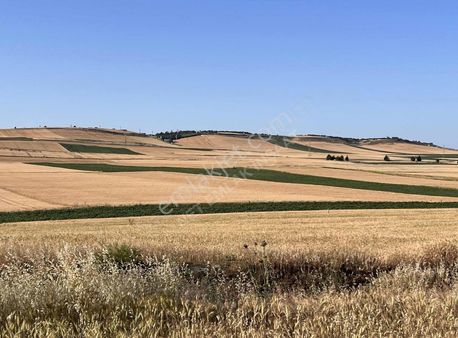 Yarısı Peşin Yarısı Senetle İmara Ve Vila Yakın Satılık Arsa