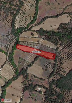 Kepsut İsaalanda Doğayla İç İçe Yatırımlık 4.780 M² Arazi