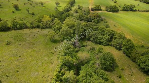 Çanakkale Çan'da Ormana Cephe 450 M² Yatırım Fırsatı
