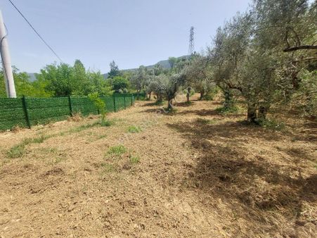 Izmır Kemalpaşa Yukarıkızılca Köy Merkezinde Satılık Bahçe